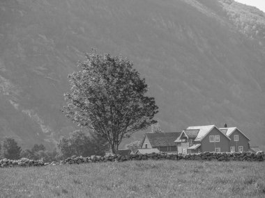 Norveç limanındaki küçük Eidfjord köyü
