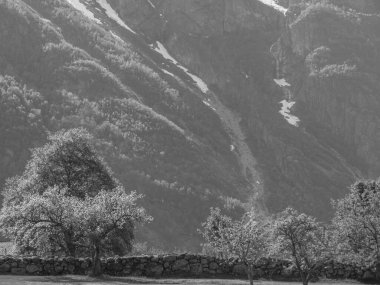 Norveç limanındaki küçük Eidfjord köyü