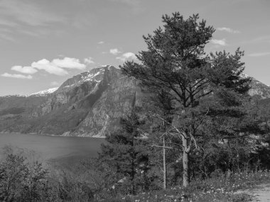Norveç limanındaki küçük Eidfjord köyü