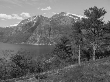 Norveç limanındaki küçük Eidfjord köyü