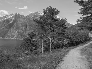 Norveç limanındaki küçük Eidfjord köyü