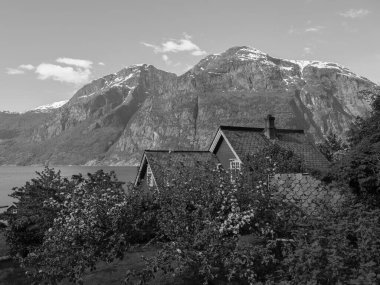 Norveç limanındaki küçük Eidfjord köyü