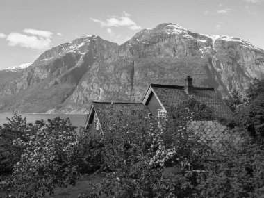 Norveç limanındaki küçük Eidfjord köyü