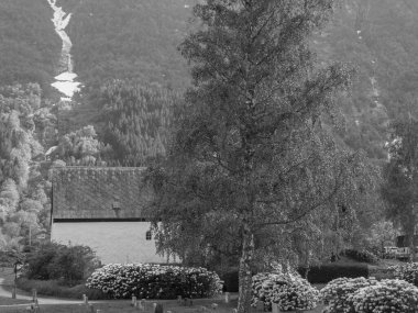 Norveç limanındaki küçük Eidfjord köyü