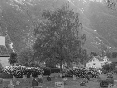 Norveç limanındaki küçük Eidfjord köyü