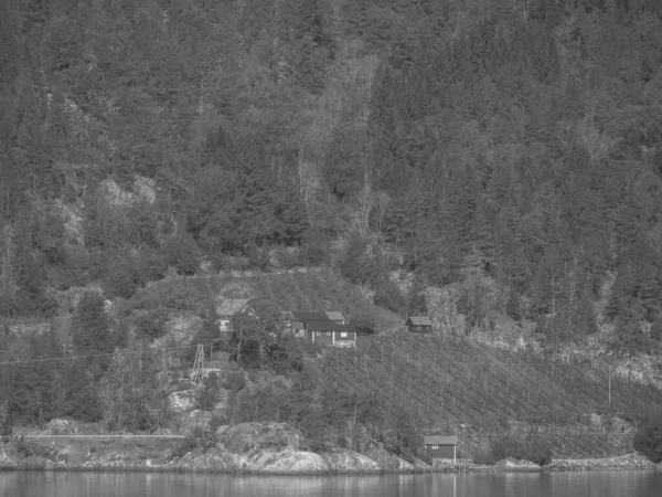 Norveç limanındaki küçük Eidfjord köyü