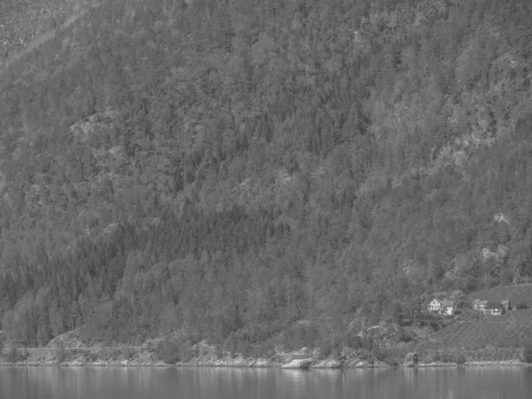 Norveç limanındaki küçük Eidfjord köyü