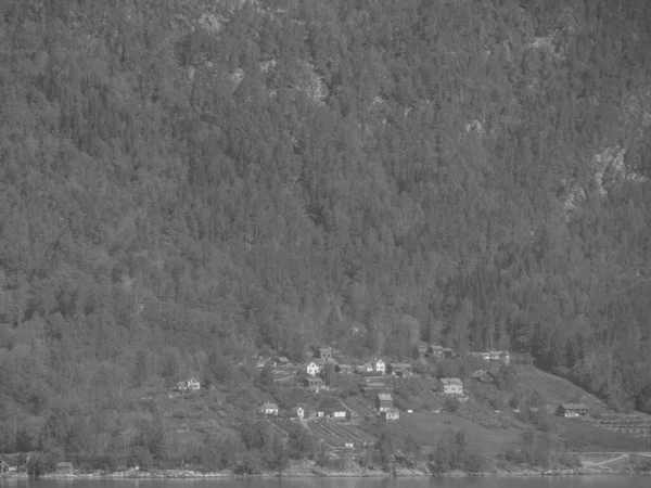 Norveç limanındaki küçük Eidfjord köyü