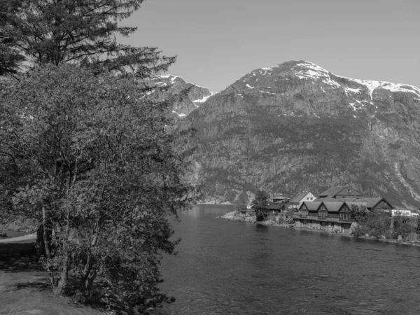 Norveç limanındaki küçük Eidfjord köyü