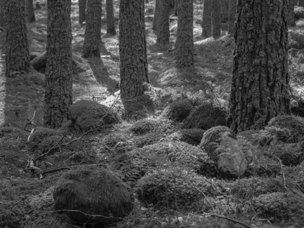 Norveç limanındaki küçük Eidfjord köyü