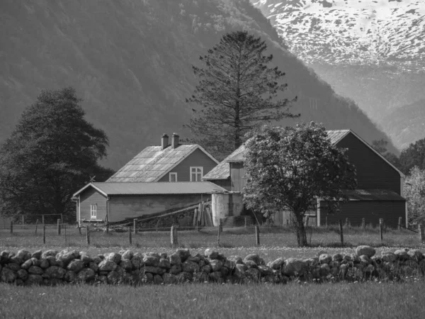 ノルウェーのHardangerjordの小さな村Eidford — ストック写真