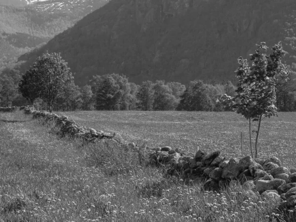 Mała Wioska Eidfjord Norweskim Hardangerfjord — Zdjęcie stockowe