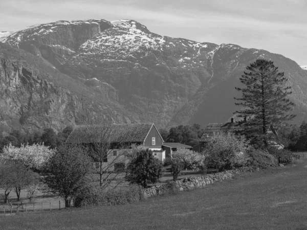 Mała Wioska Eidfjord Norweskim Hardangerfjord — Zdjęcie stockowe