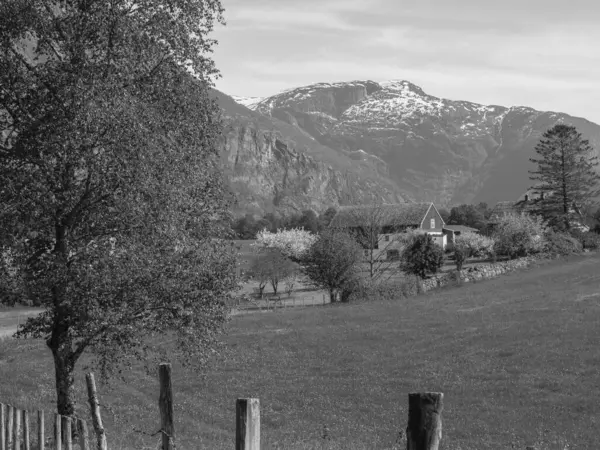 Malá Vesnice Eidfjord Norském Hardangerfjordu — Stock fotografie