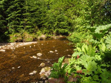 Inverness şehri ve İskoç dağları