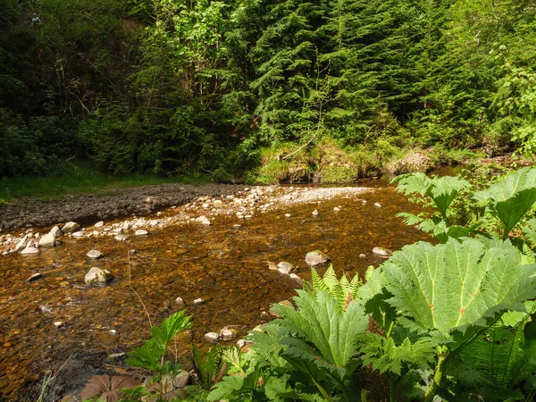 Inverness şehri ve İskoç dağları