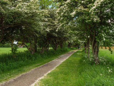 Holstein-Holstein eyâletinde, Maasholm ve Eckernfoette 'nin küçük bir köyü.