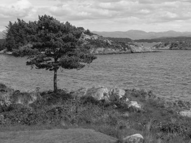 Norveç 'teki Stavanger şehri.