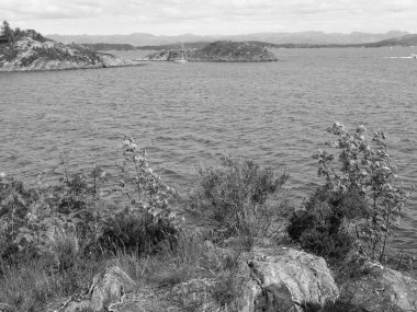 Norveç 'teki Stavanger şehri.