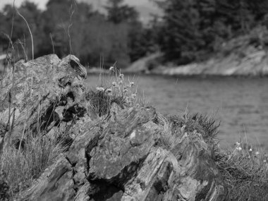 Norveç 'teki Stavanger şehri.