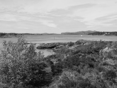 Norveç 'teki Stavanger şehri.