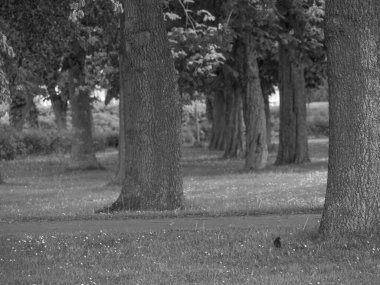 Holstein-Holstein eyâletinde, Maasholm 'ün küçük bir köyü.