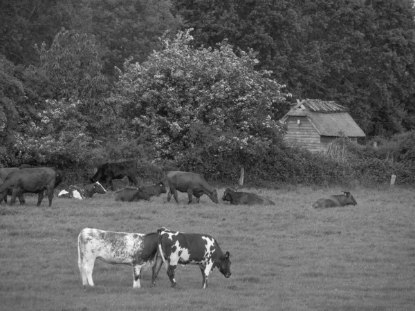 Holstein Holstein Eyâletinde Maasholm Küçük Bir Köyü — Stok fotoğraf