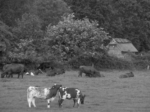 Pequena Aldeia Maasholm Schleswig Holstein — Fotografia de Stock