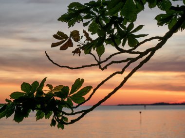 Lindau Almanya 'da göl kıyısında.