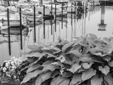 Baltık Denizi 'ndeki Eckernfoette şehri