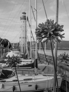 Lindau Almanya 'da göl kıyısında.