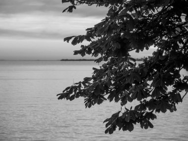 Lindau Almanya 'da göl kıyısında.