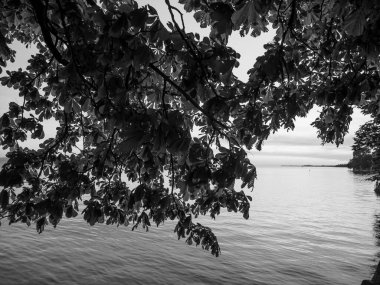 Lindau Almanya 'da göl kıyısında.