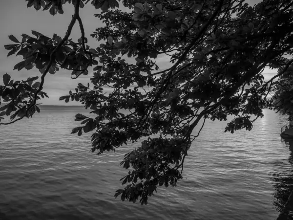 Lindau Vid Sjön Constance Tyskland — Stockfoto