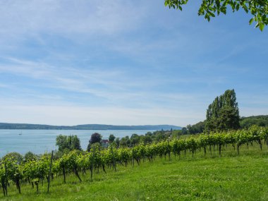 Meersburg, Almanya 'daki göl kentinde.