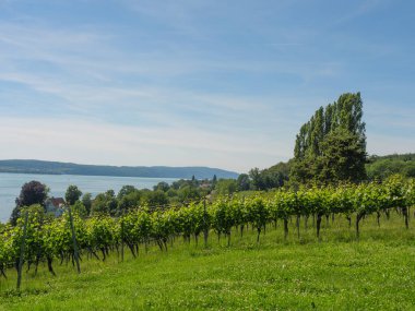 Meersburg, Almanya 'daki göl kentinde.