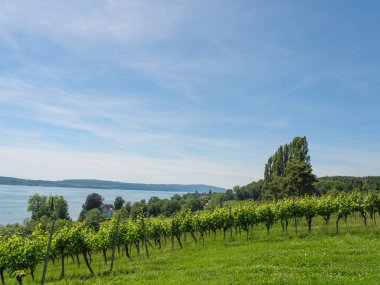 Meersburg, Almanya 'daki göl kentinde.