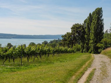 Meersburg, Almanya 'daki göl kentinde.
