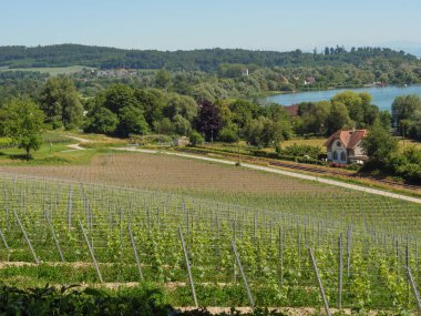 Meersburg, Almanya 'daki göl kentinde.