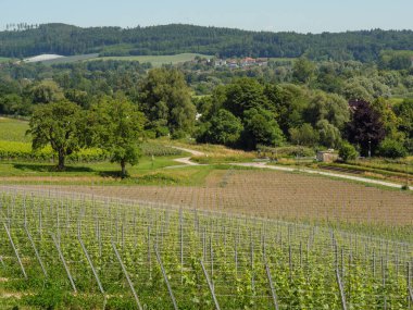 Meersburg, Almanya 'daki göl kentinde.