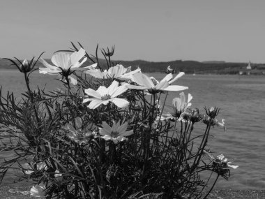 Meersburg, Almanya 'daki göl kentinde.