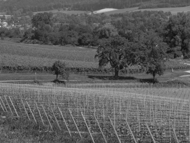 Meersburg, Almanya 'daki göl kentinde.
