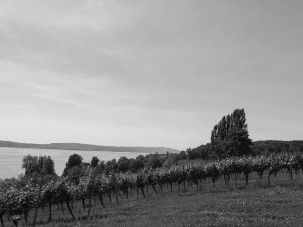 Meersburg Lago Constance Alemania — Foto de Stock