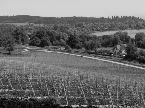 Meersburg, Almanya 'daki göl kentinde.