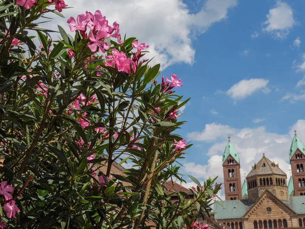 Die Altstadt Von Speyer Deutschland — Stockfoto