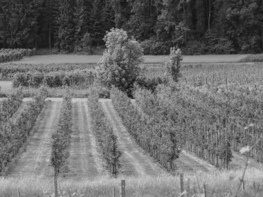 Almanya ve Avusturya 'daki Göl Polisi.
