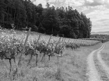 Almanya ve Avusturya 'daki Göl Polisi.