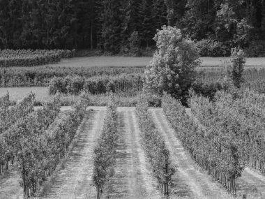 Almanya ve Avusturya 'daki Göl Polisi.
