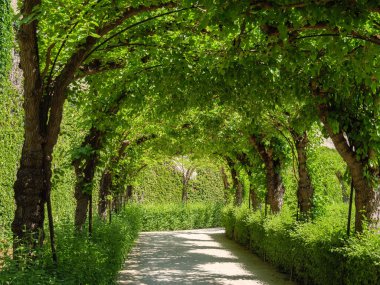 Wuerzburg şehri ana nehir kıyısında.