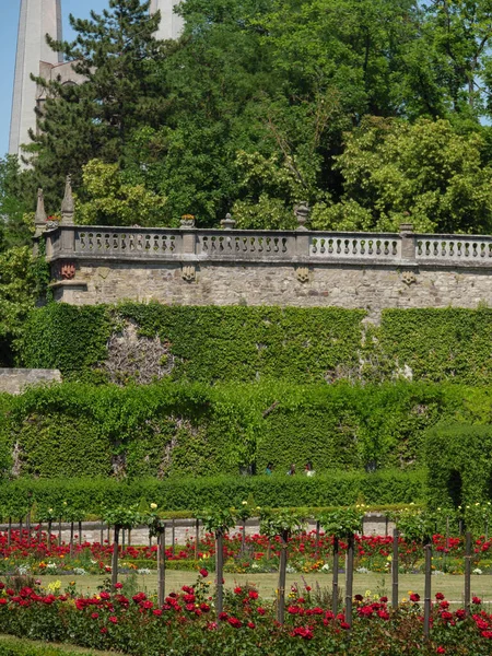 City Wuerzburg River Main — Stock Photo, Image